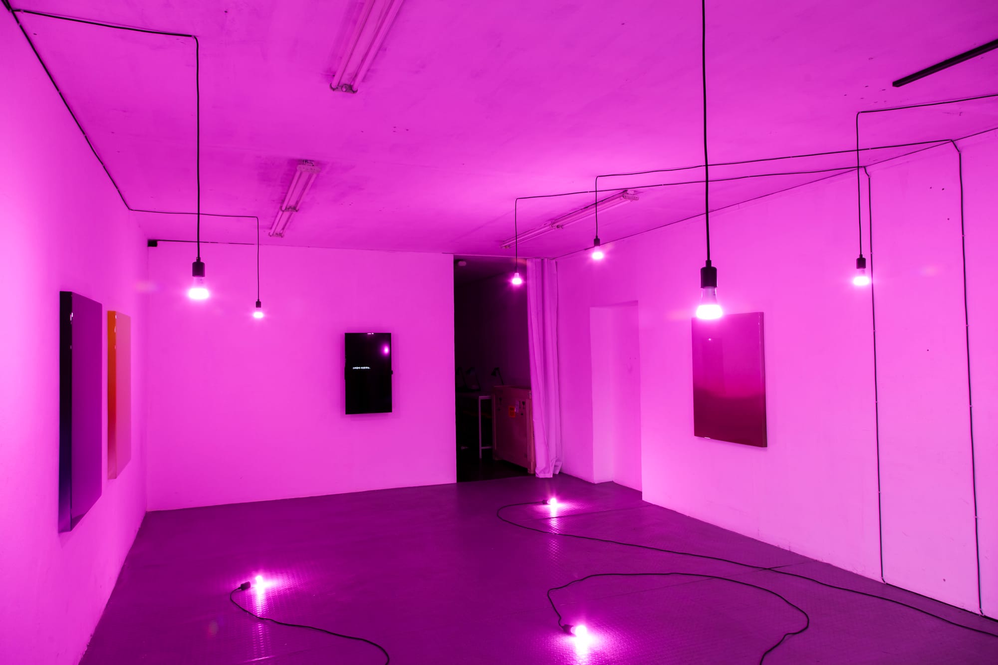 Mika Tajima, "Emotion Commune" (2016), Protocinema, Istanbul (all photos by Batu Tezyüksel)