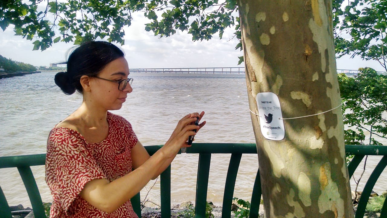 Anne Percoco with @Arlene_the_Tree on the Society Hill Walkway. All photographs provided by the artist.