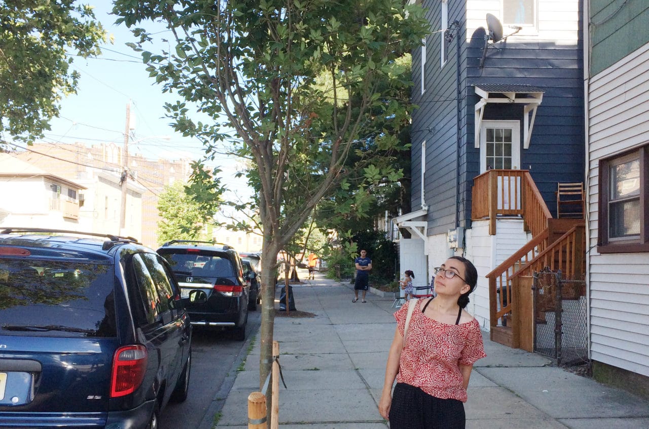 Artist Anne Percoco with @JunebugtheTree in Jersey City Heights.