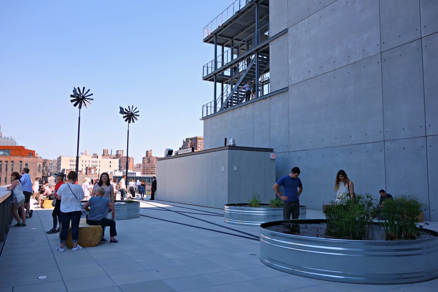 Installation view of 'Virginia Overton: Sculpture Gardens' at the Whitney Museum of American Art