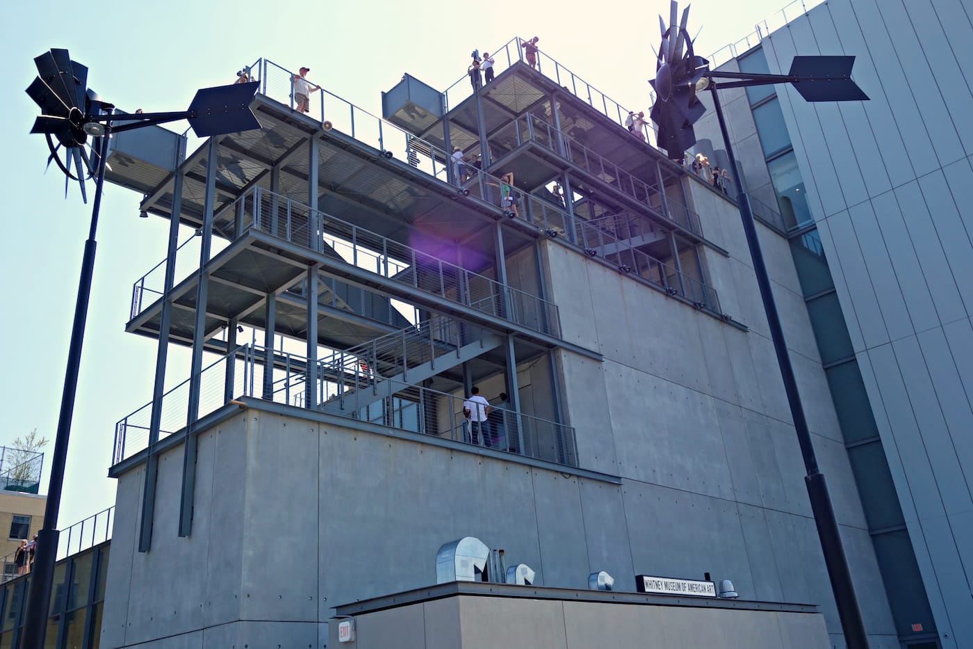 Installation view of 'Virginia Overton: Sculpture Gardens' at the Whitney Museum of American Art