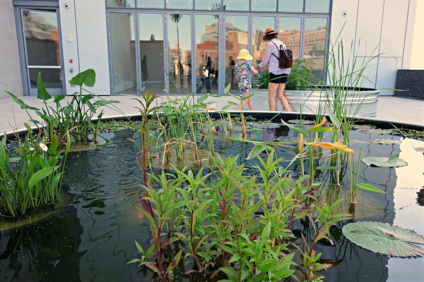 Installation view of 'Virginia Overton: Sculpture Gardens' at the Whitney Museum of American Art
