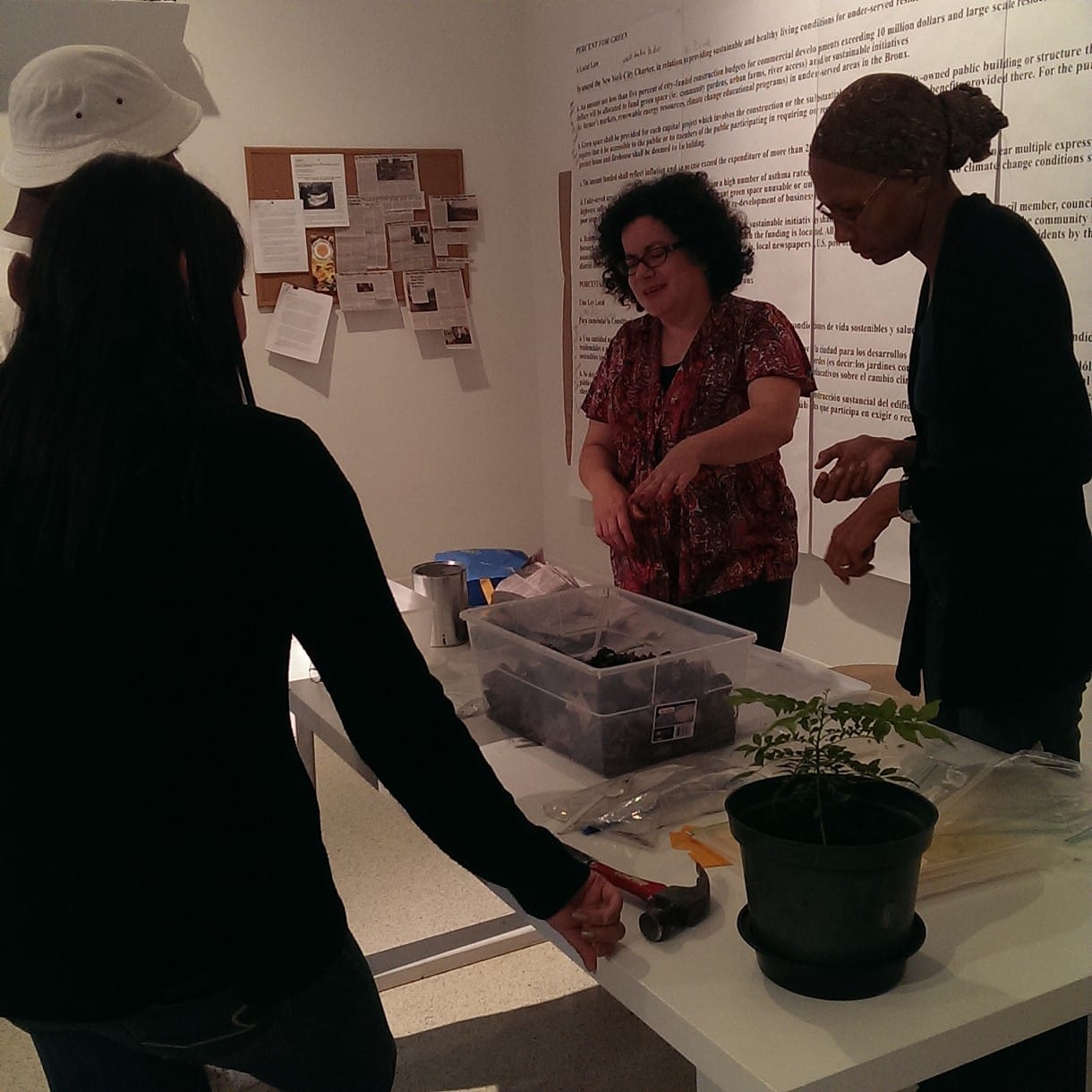 Percent for Green Community workshop, vermiculture composting