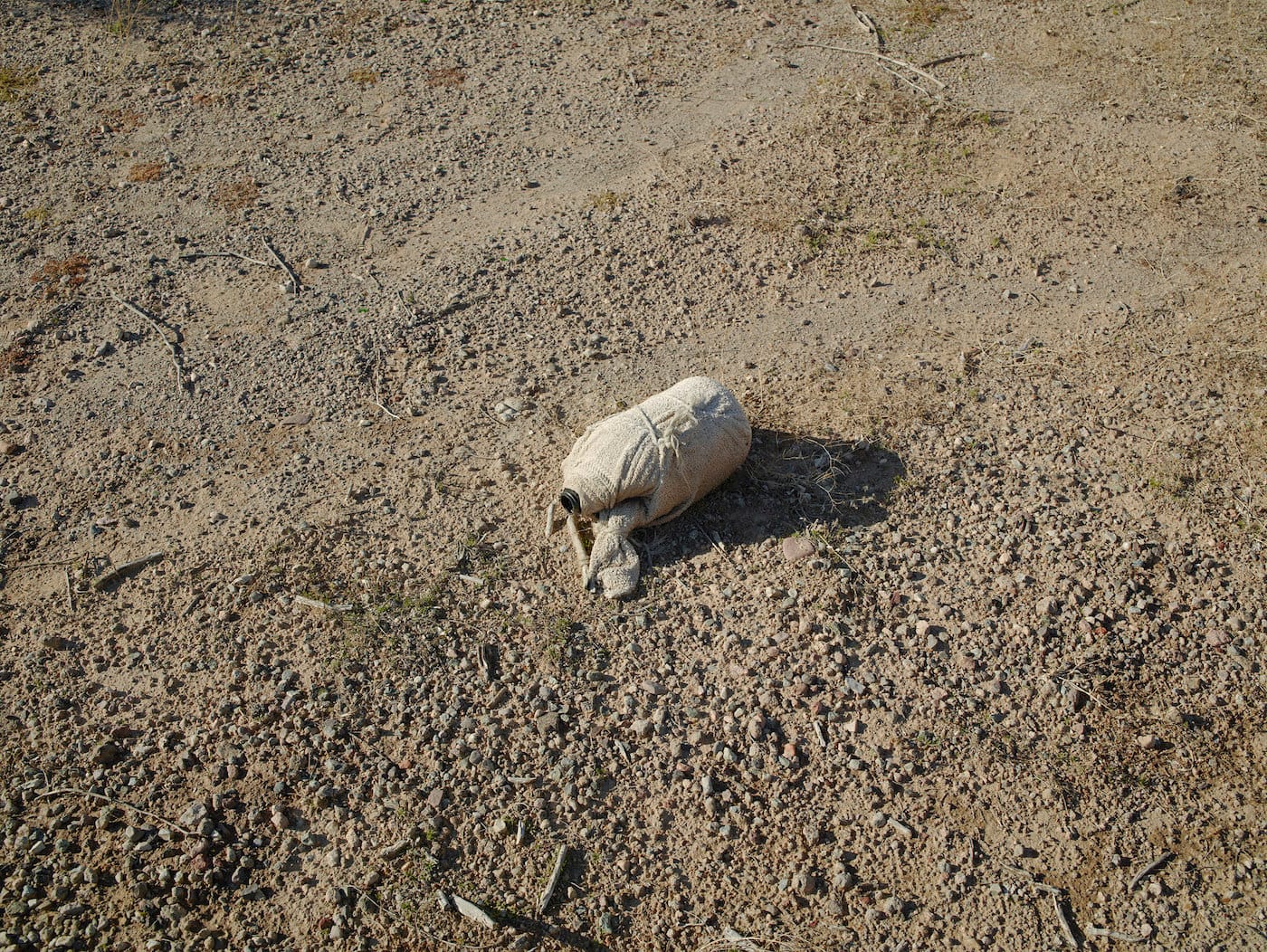 26703615362_ecafe71d8e_k