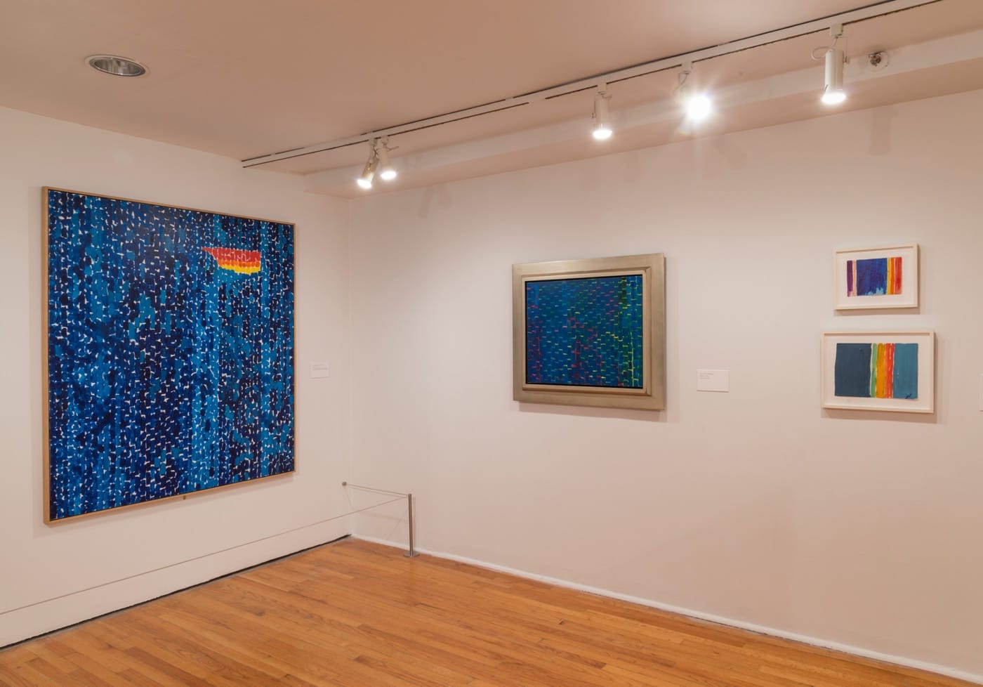'Alma Thomas' (installation view) The Studio Museum in Harlem (Photo: Adam Reich)