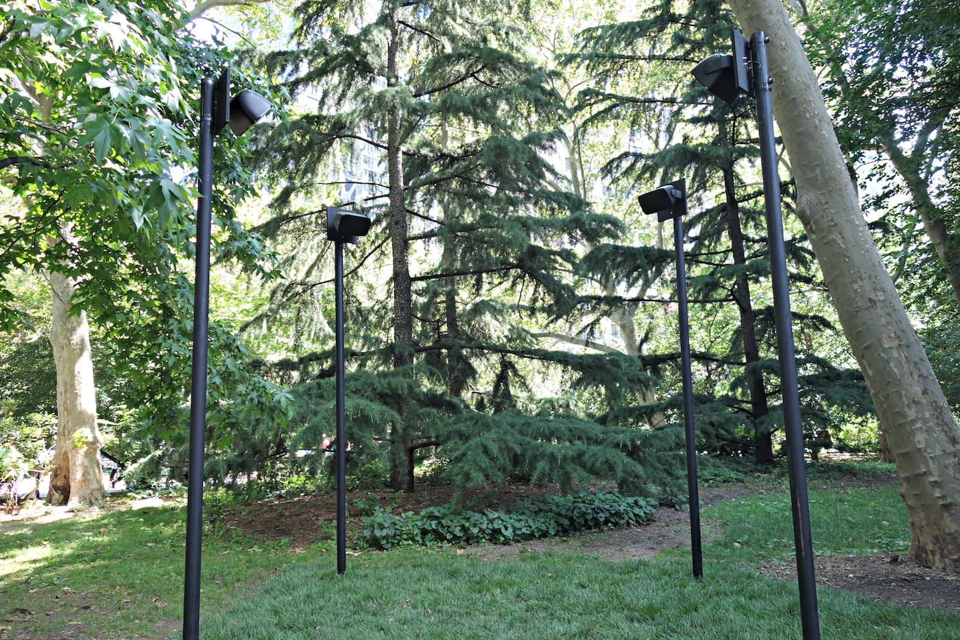 The Language of Things in City Hall Park