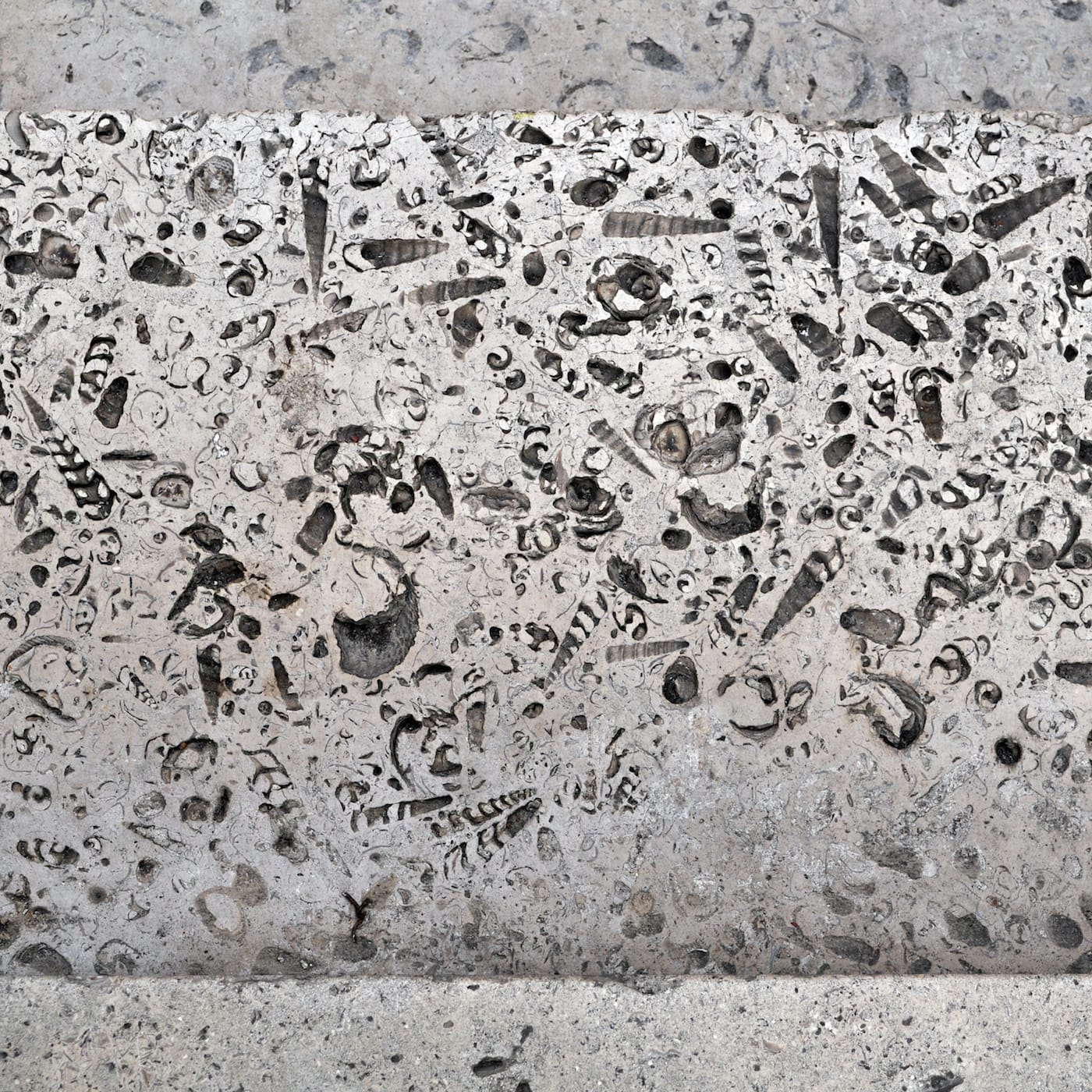 London Pavement Geology