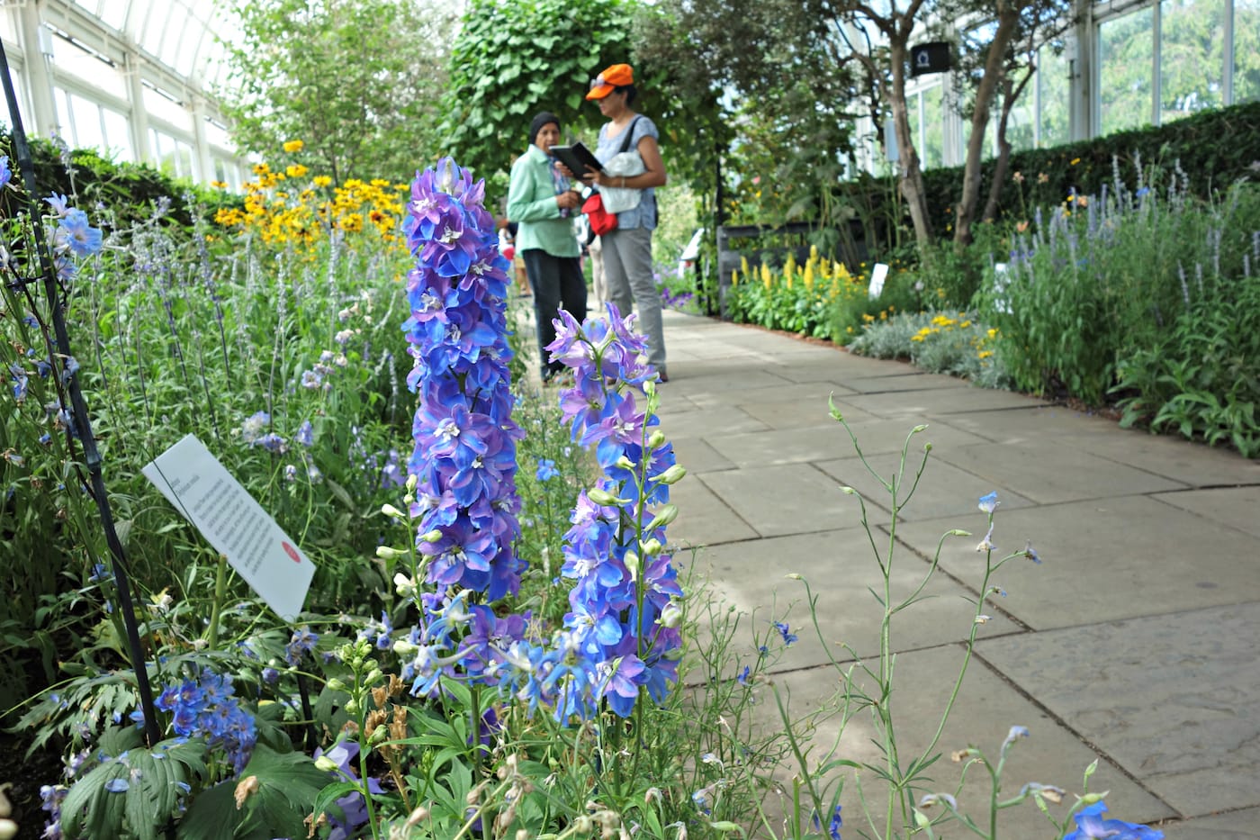 Installation view of 'Impressionism: American Artists on Canvas' at the New York Botanical Garden