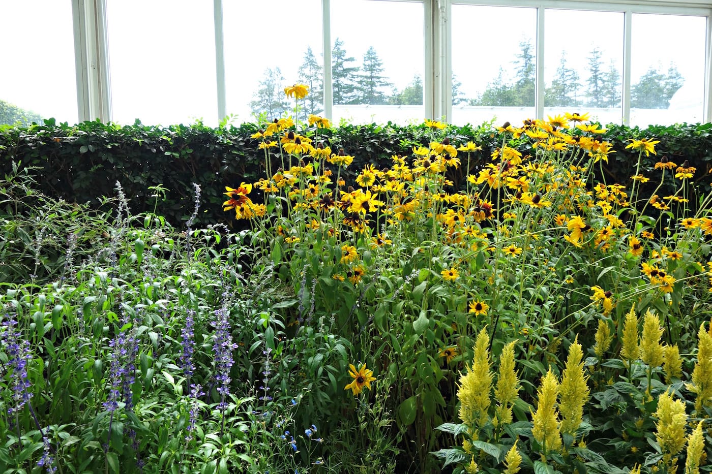 Installation view of 'Impressionism: American Artists on Canvas' at the New York Botanical Garden