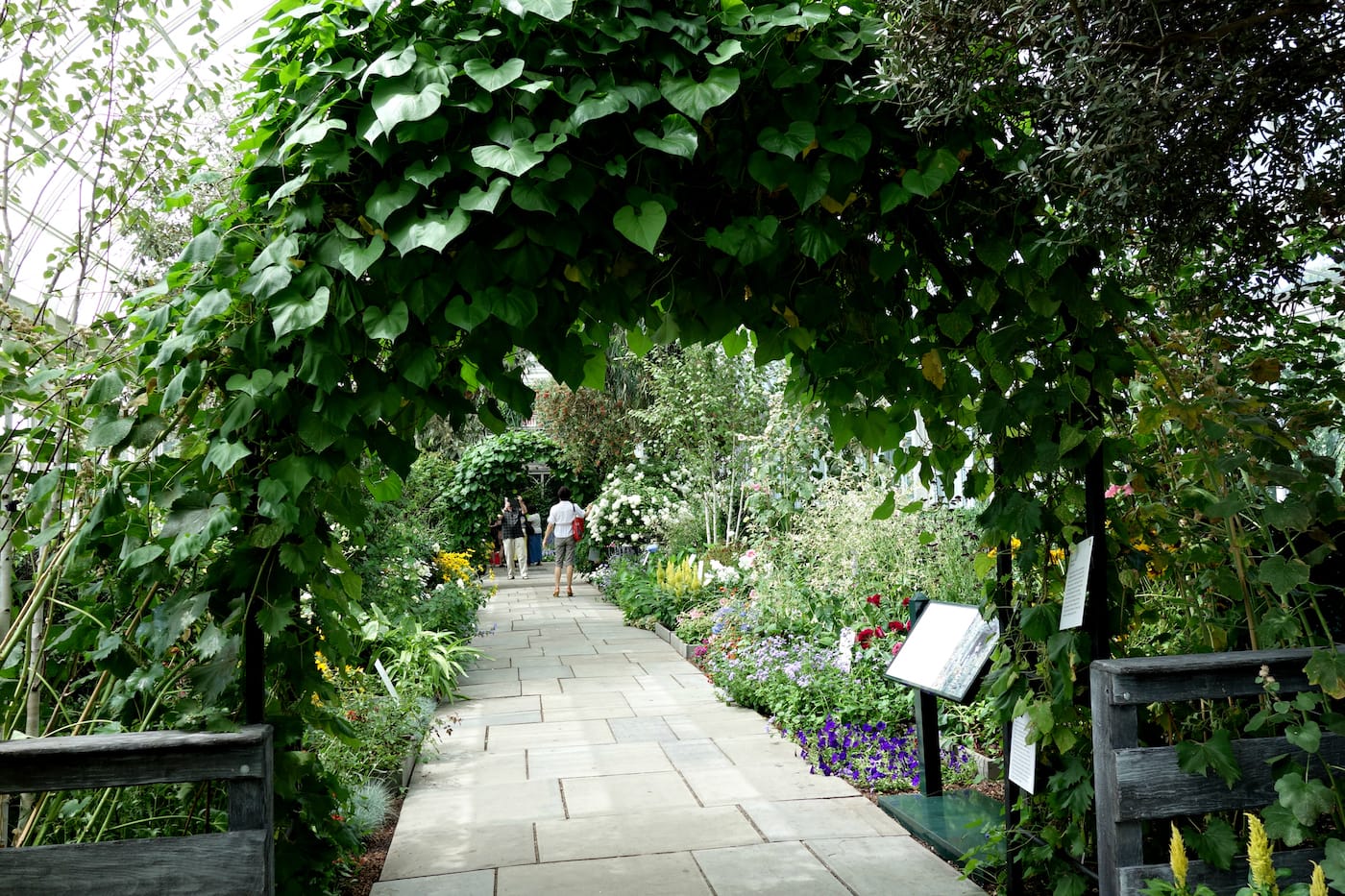 Installation view of 'Impressionism: American Artists on Canvas' at the New York Botanical Garden