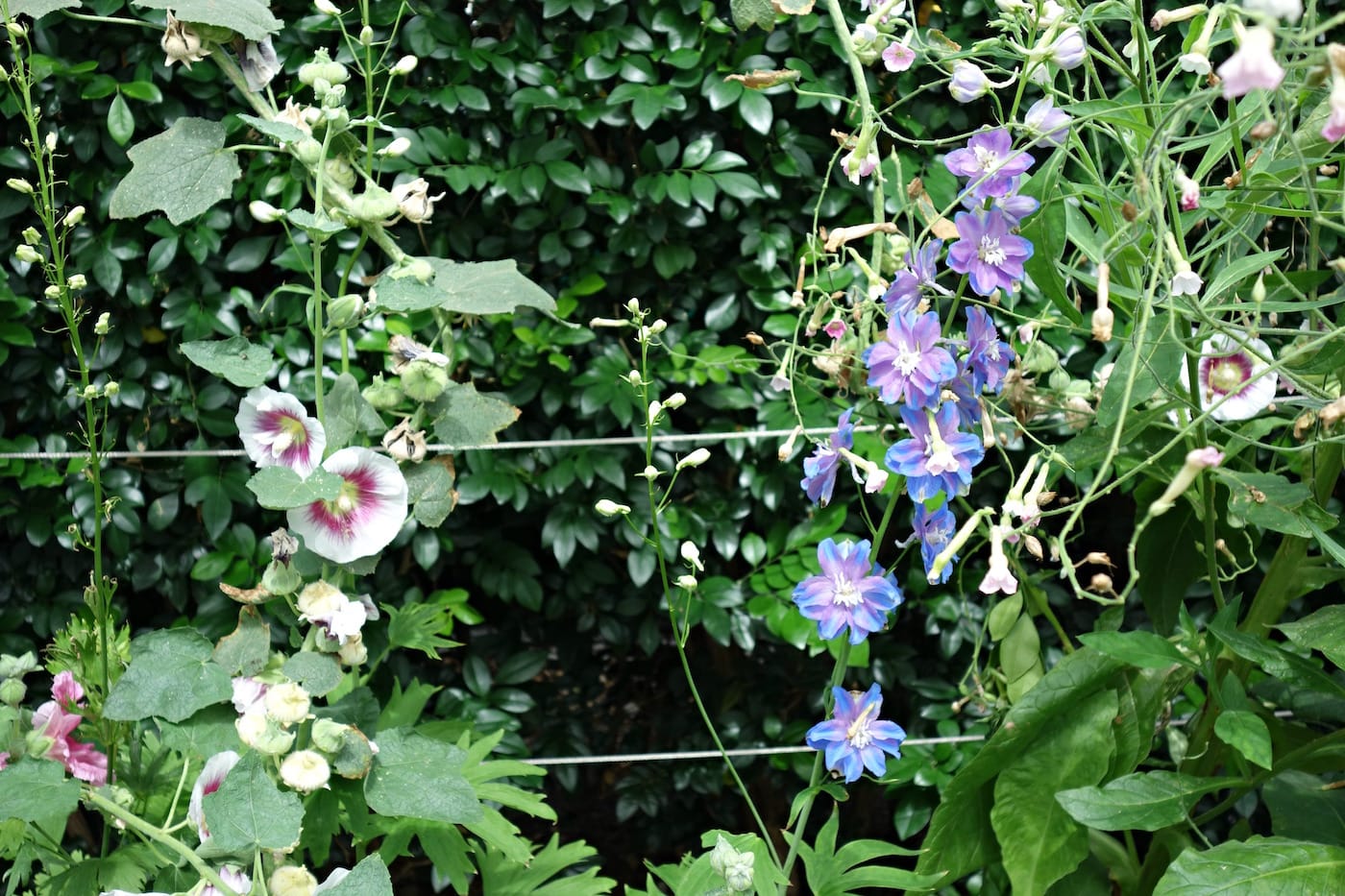 Installation view of 'Impressionism: American Artists on Canvas' at the New York Botanical Garden