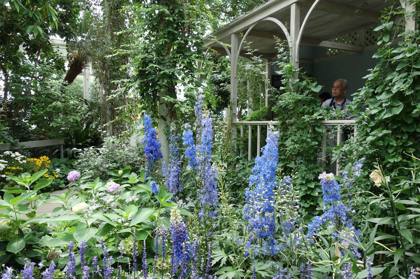 Installation view of 'Impressionism: American Artists on Canvas' at the New York Botanical Garden