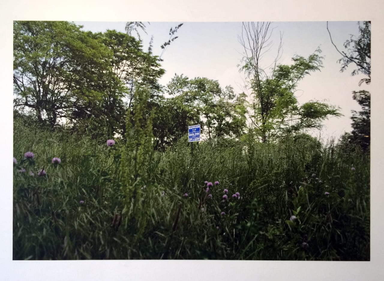 Katarina Jerinic, Beautified Landscape (2013), pigment print on PhotoTex, 40x60 inches (All photos by author for Hyperallergic)