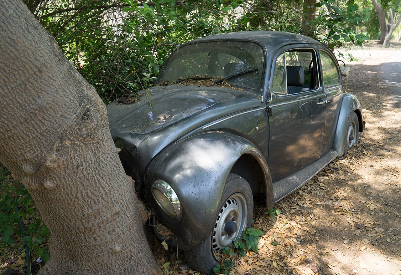 Francis Alÿs, Game Over (2008), Jardín Botánico Culiacán, Mexico, © Hubertus Langen/Jardín Botánico Culiacán/Outdoor Art, Prestel 2015 (Image courtesy of publisher.)