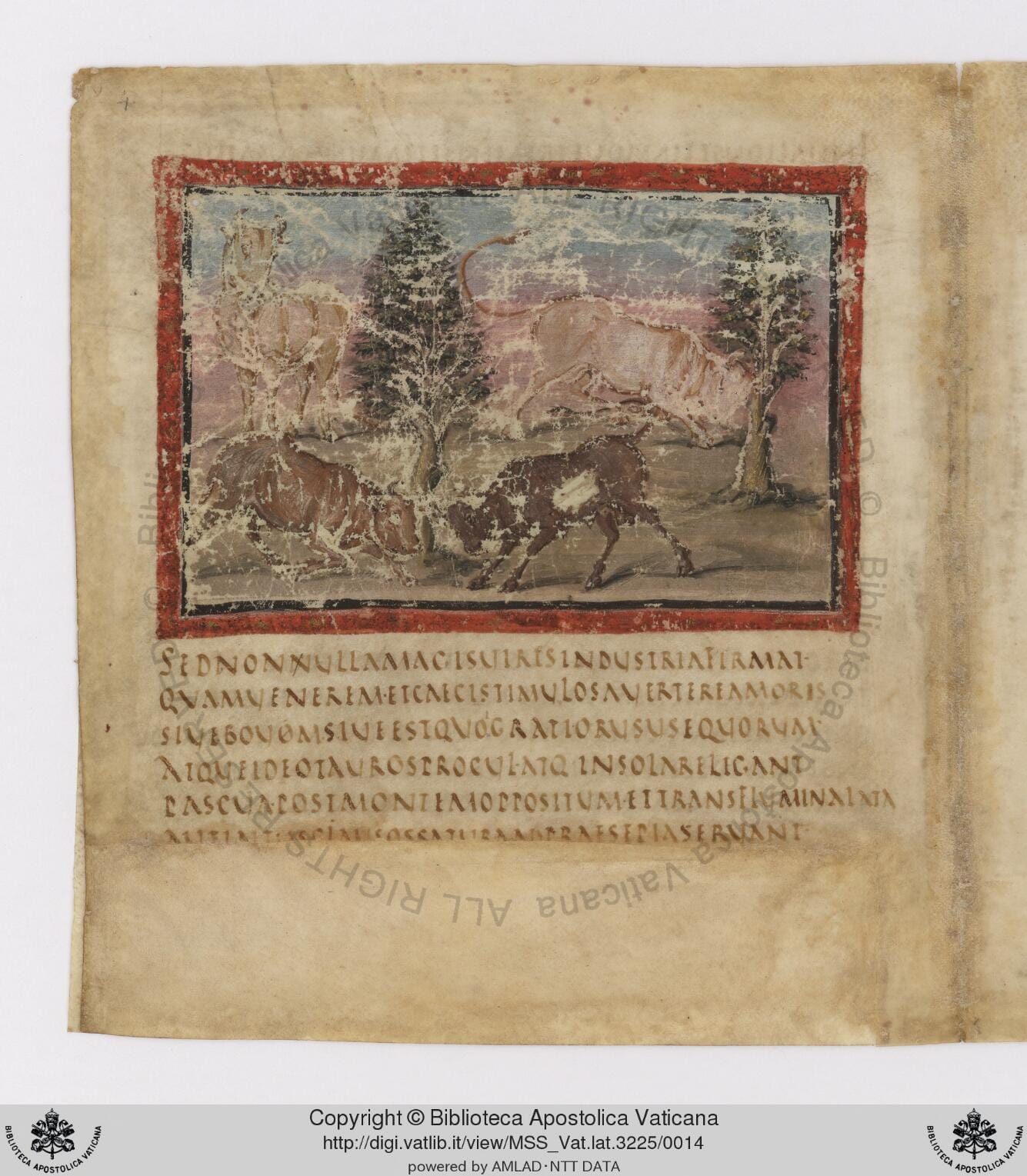 Vat.lat.3225_0014_fr_0005v_l