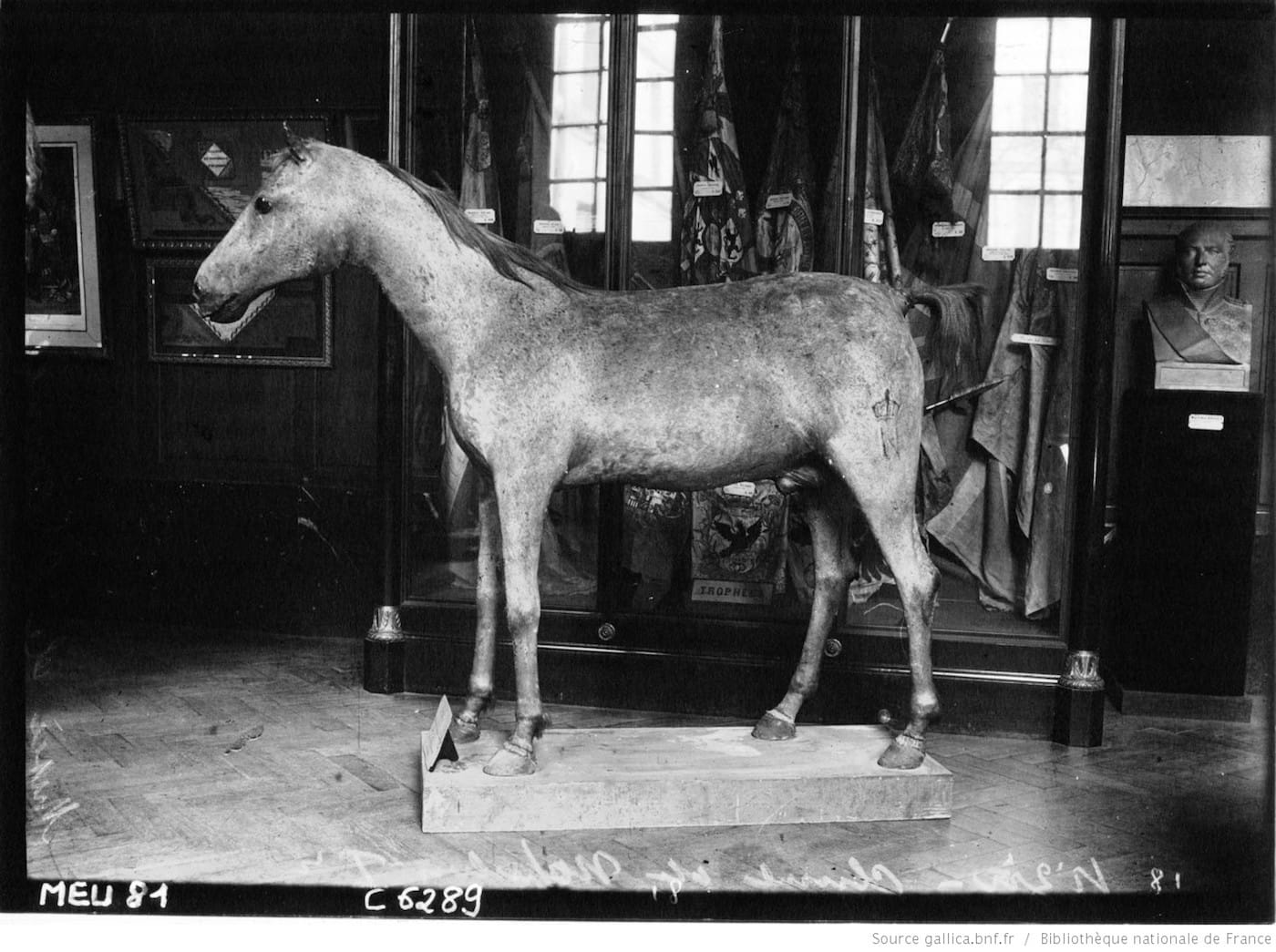 Le Vizir in the Musée de l'Armée in 1909 (via Agence de presse Meurisse/BnF Gallica)