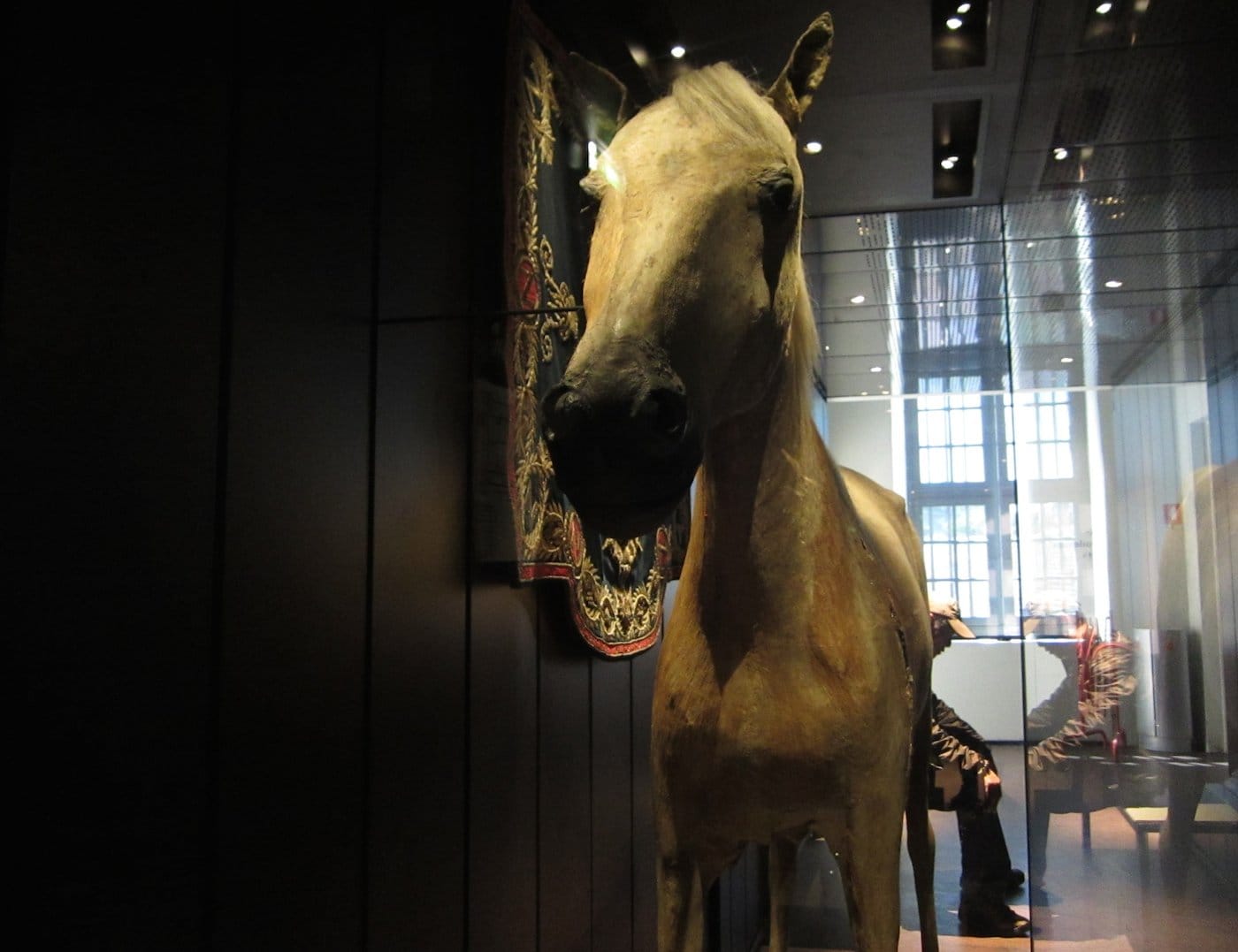 Vizir the horse in 2014 (photo by the author for Hyperallergic)