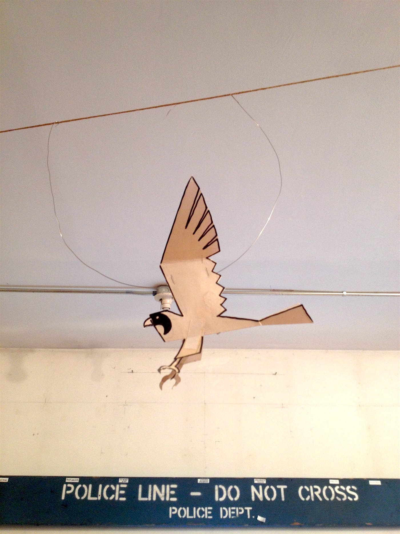 Anton van Dalen_Peregrine Falcon