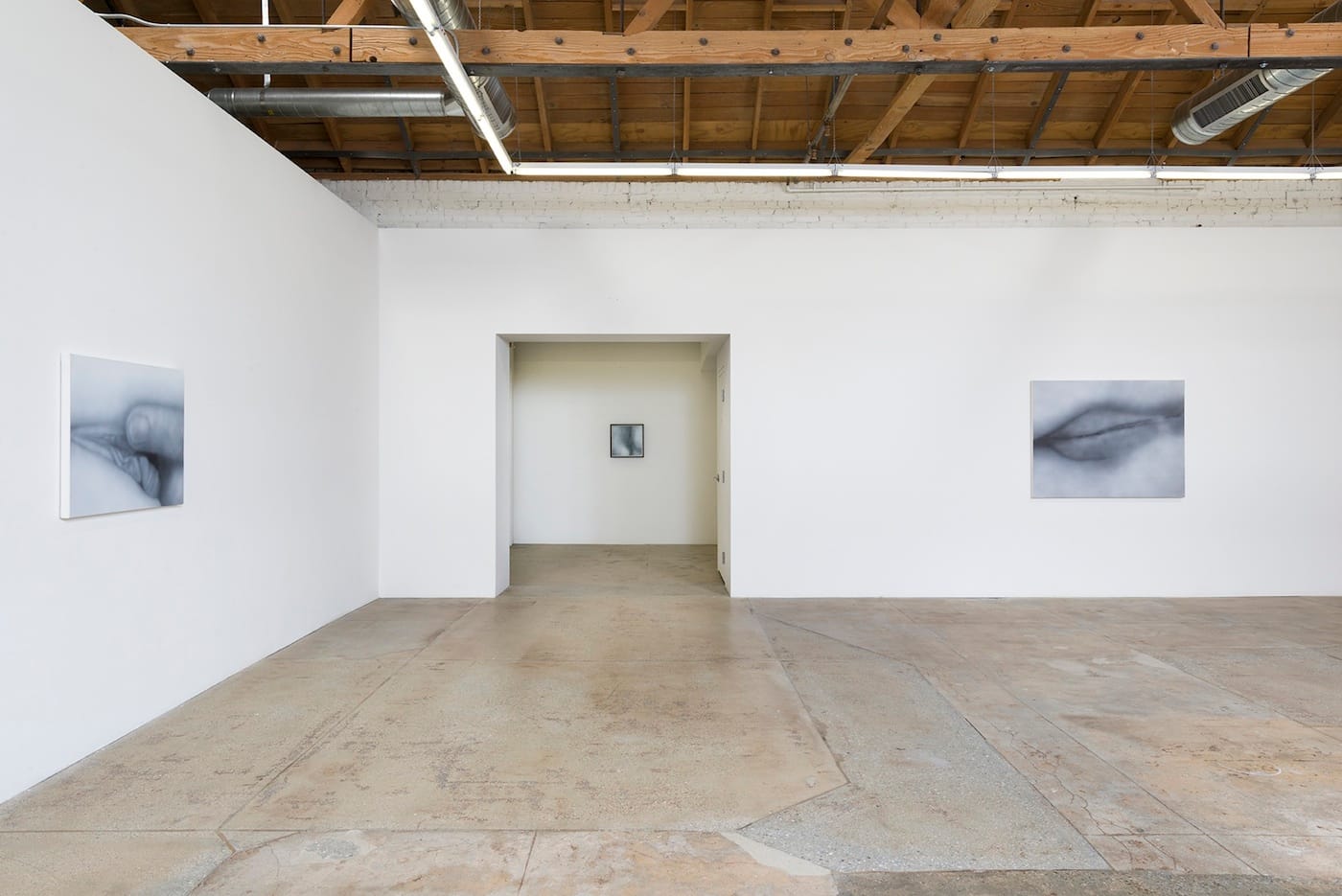 Installation view of "Betty Tompkins: Sex Works / WOMEN Words, Phrases, and Stories" (courtesy of the artist and GAVLAK Los Angeles. Photo Credit: Jeff McLane)