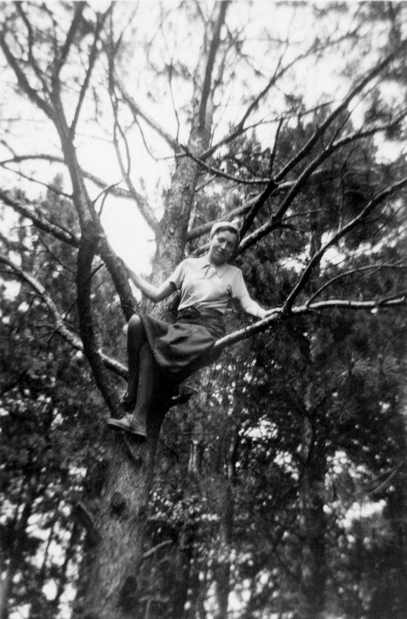 RUECKSEITE UNBESCHRIFTET