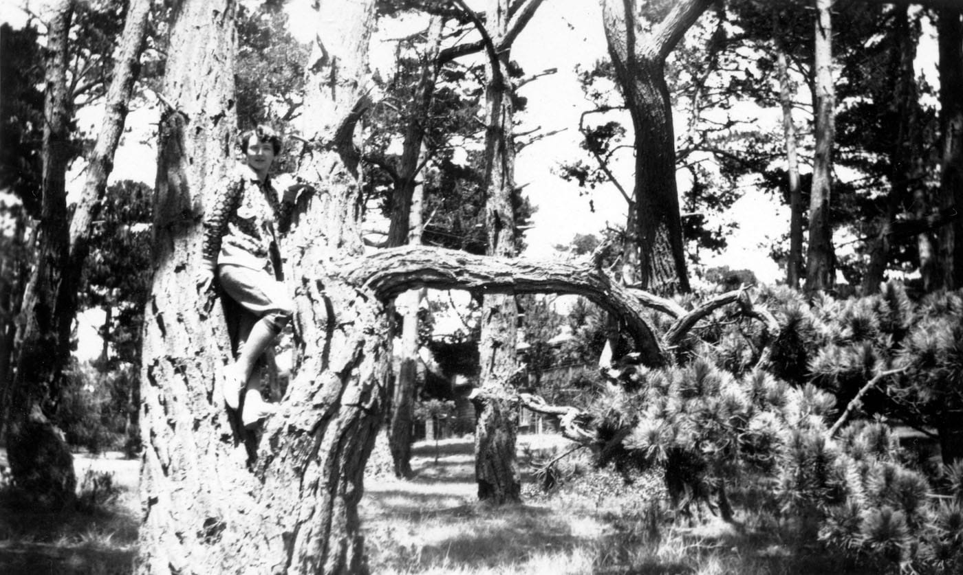 RUECKSEITE UNBESCHRIFTET