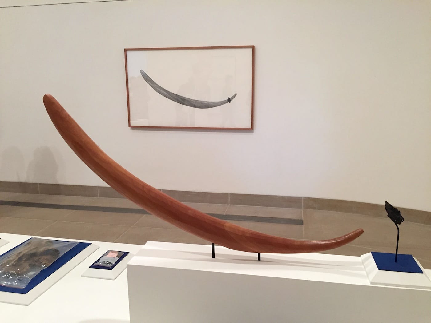 Work by Gala Porras-Kim