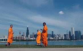 Werner Herzog Taps into the Humanity of the Internet