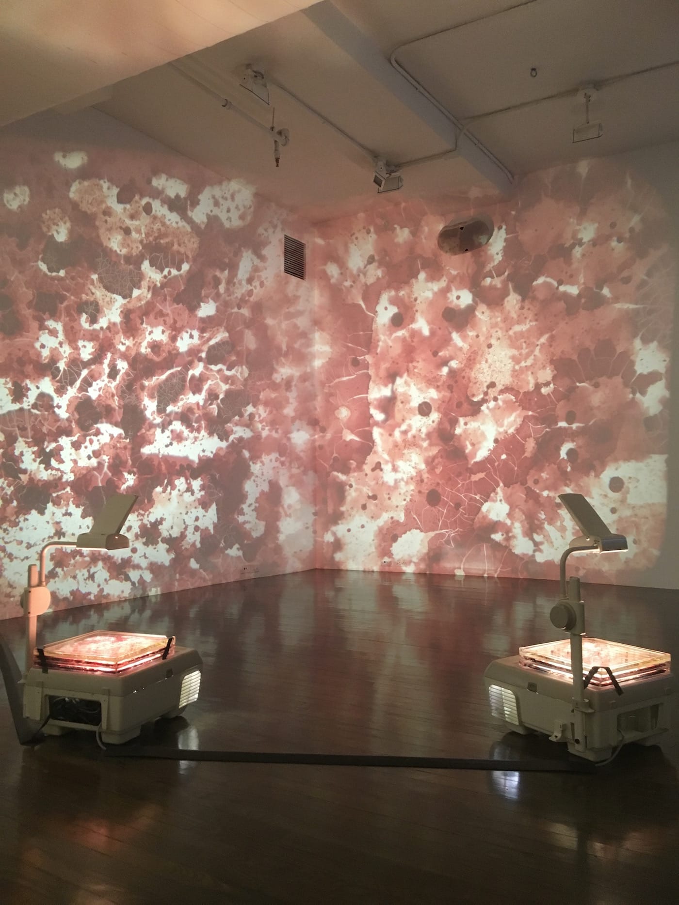 Jordan Eagles Blodd Mirror