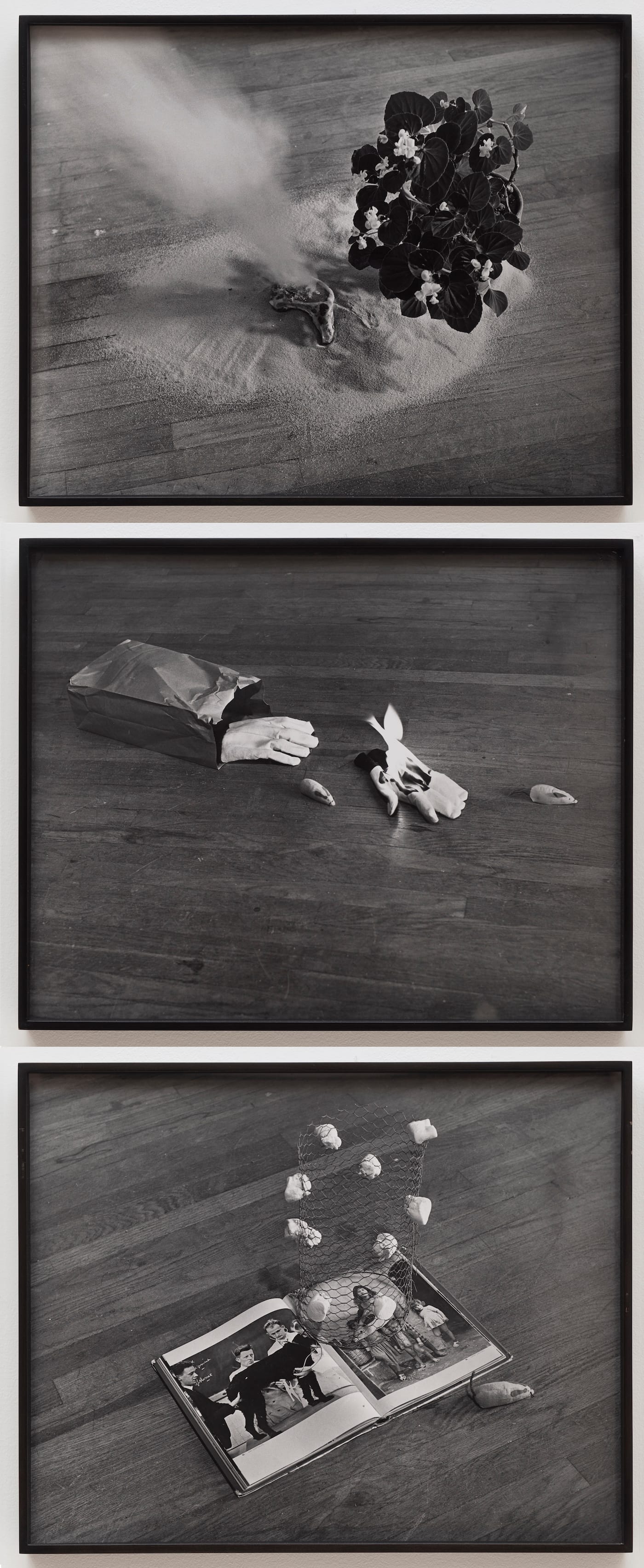 Leavitt_RandomSelections-300 (1)