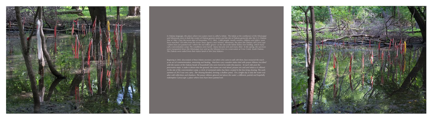 Joyce Lyon, "Cansa'yapi / Where Trees Are Painted Red" (courtesy the artist) (click to enlarge)