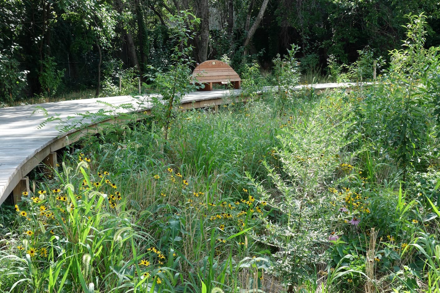 Naval Hospital Cemetery Park