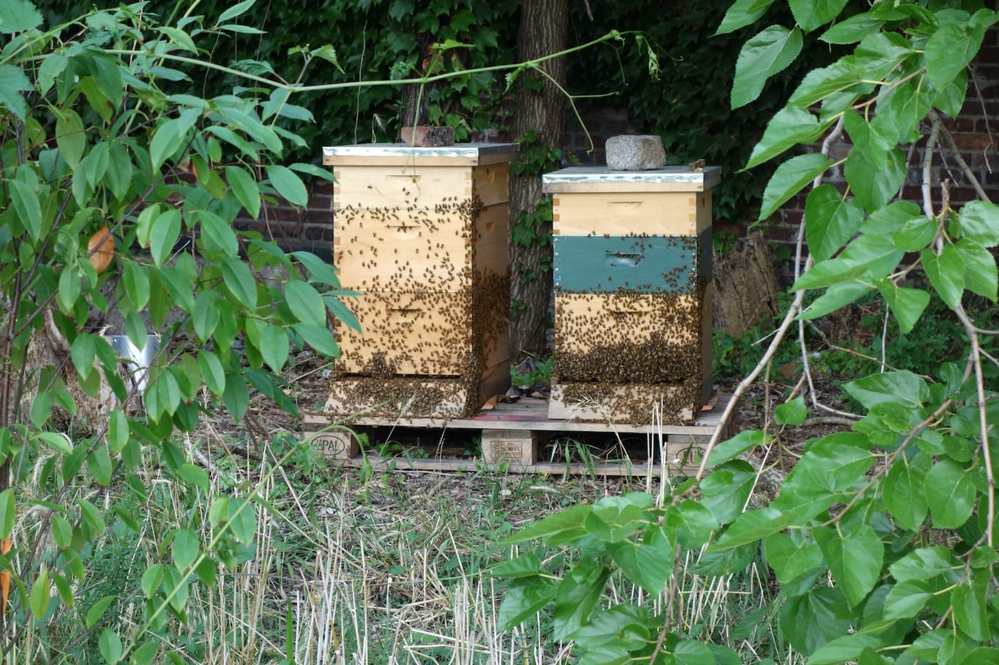 Naval Hospital Cemetery Park