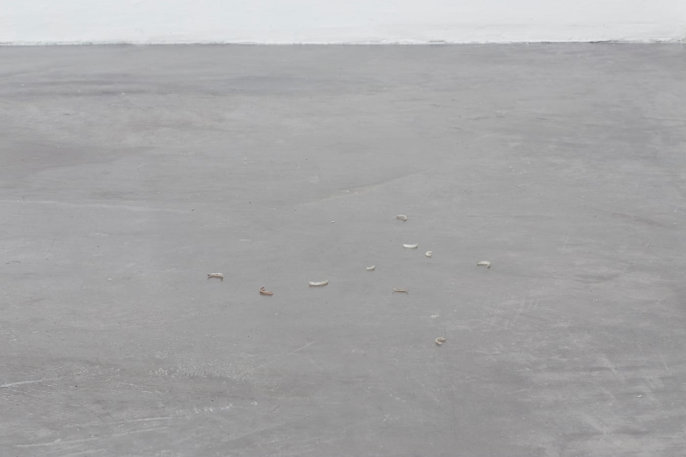 Wilfred Prieto, "10 dedos" (2016), nails, dimensions variable (photo by Abigail Enzaldo, courtesy of the artist and Kurimanzutto, Mexico City)