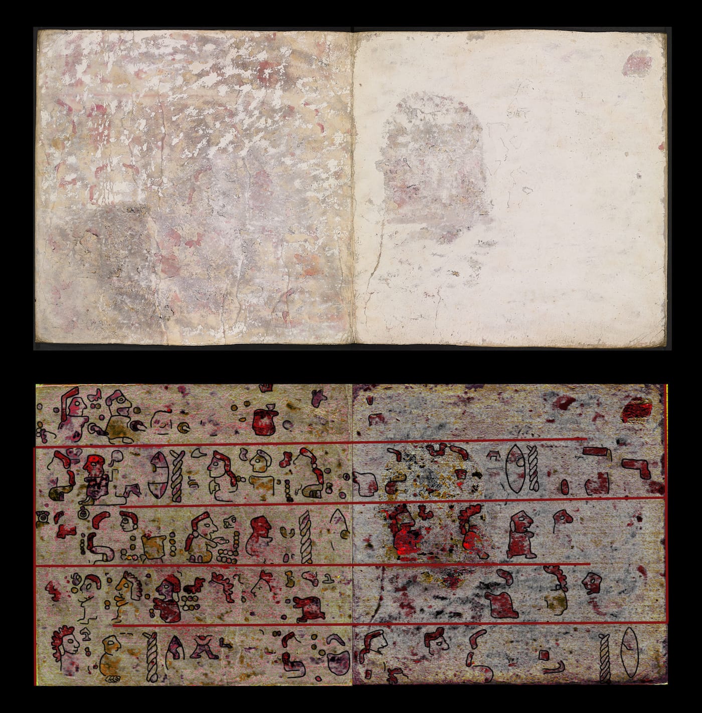 Pages 10 and 11 of the back of Codex Selden, with pages as they appear to the naked eye and images created using hyperspectral imaging to show the underlying hidden pictographic scenes (photo © Journal of Archaeological Sciences: Reports, 2016 Elsevier)