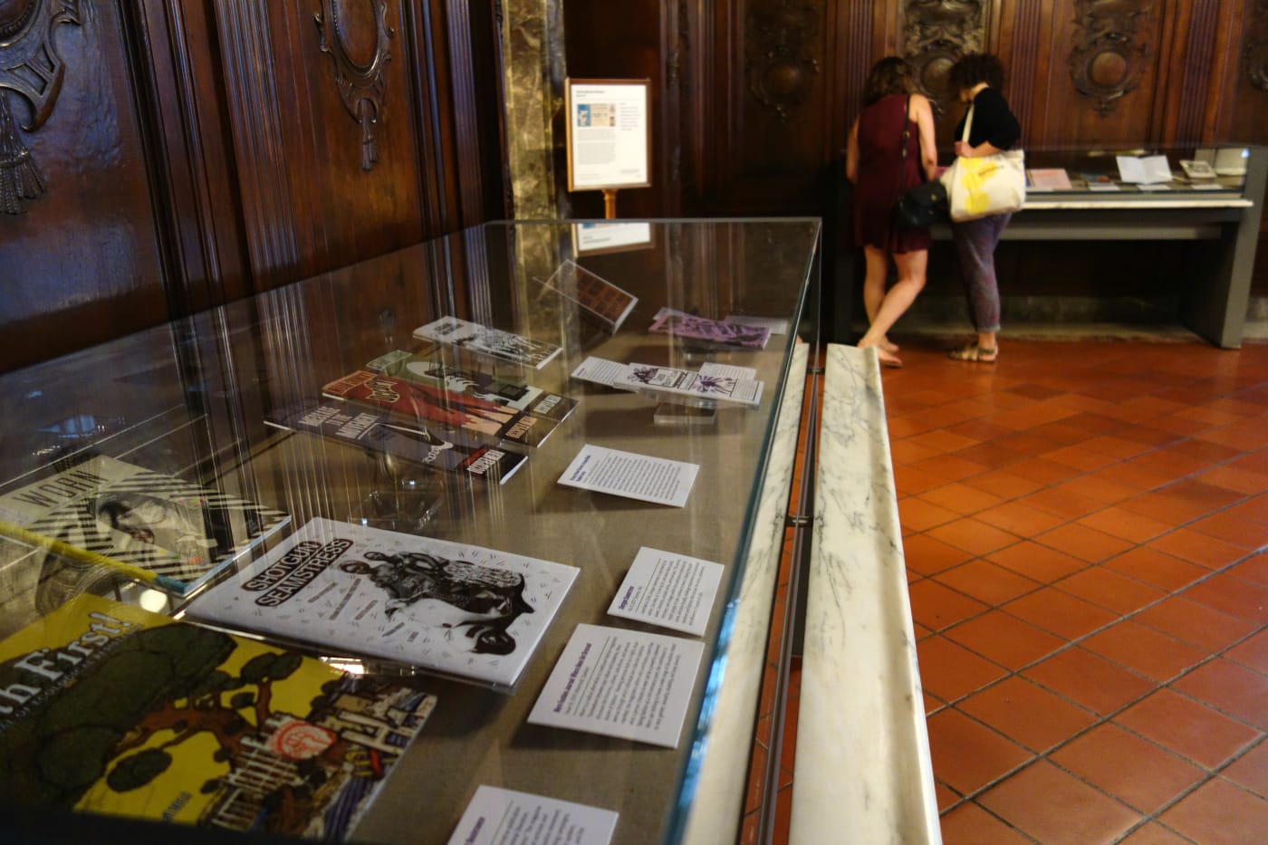 Installation view of 'Protests in Print' at the New York Public Library (photo by the author for Hyperallergic)