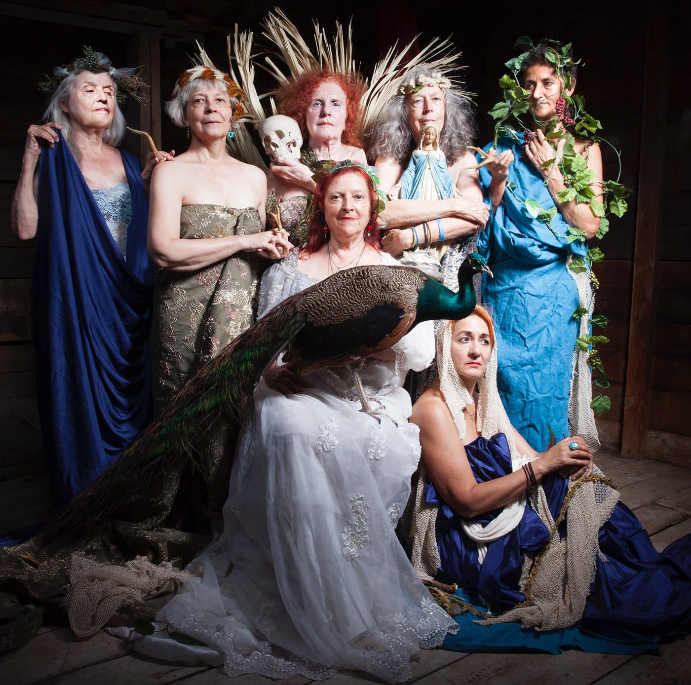 Ventiko_The Silver Spiders