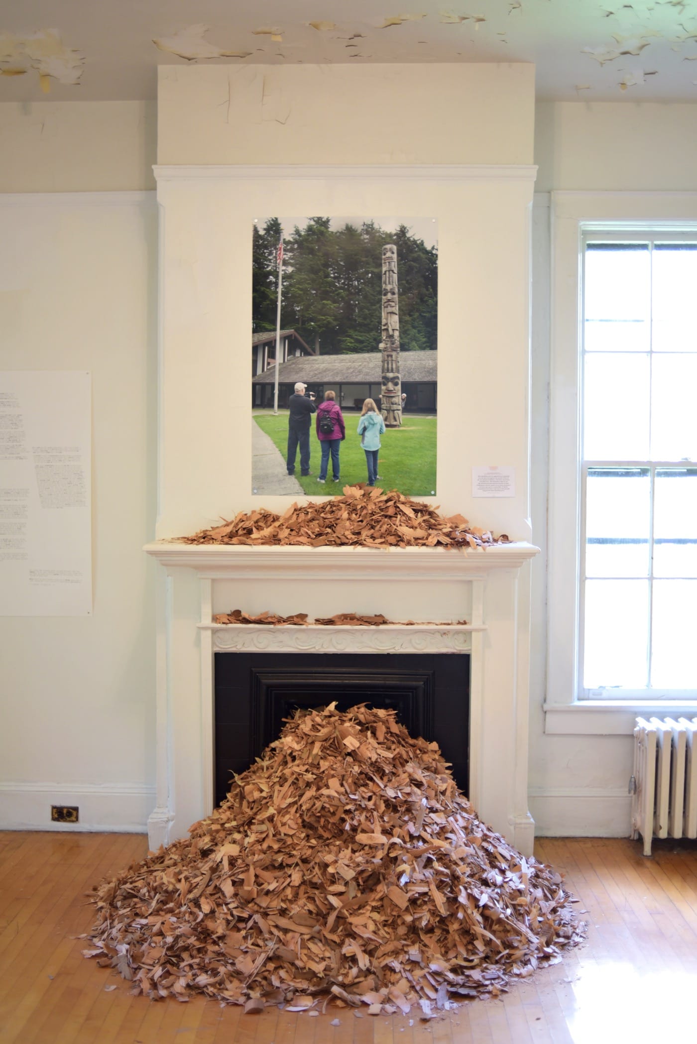 Nicholas Galanin, You Are on Indisneyian Land, (2016) Digital print and red cedar chips