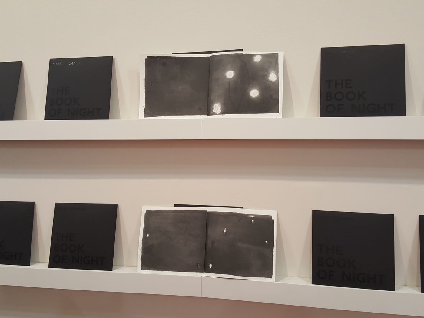 The Book of Night, by Mary Heilmann