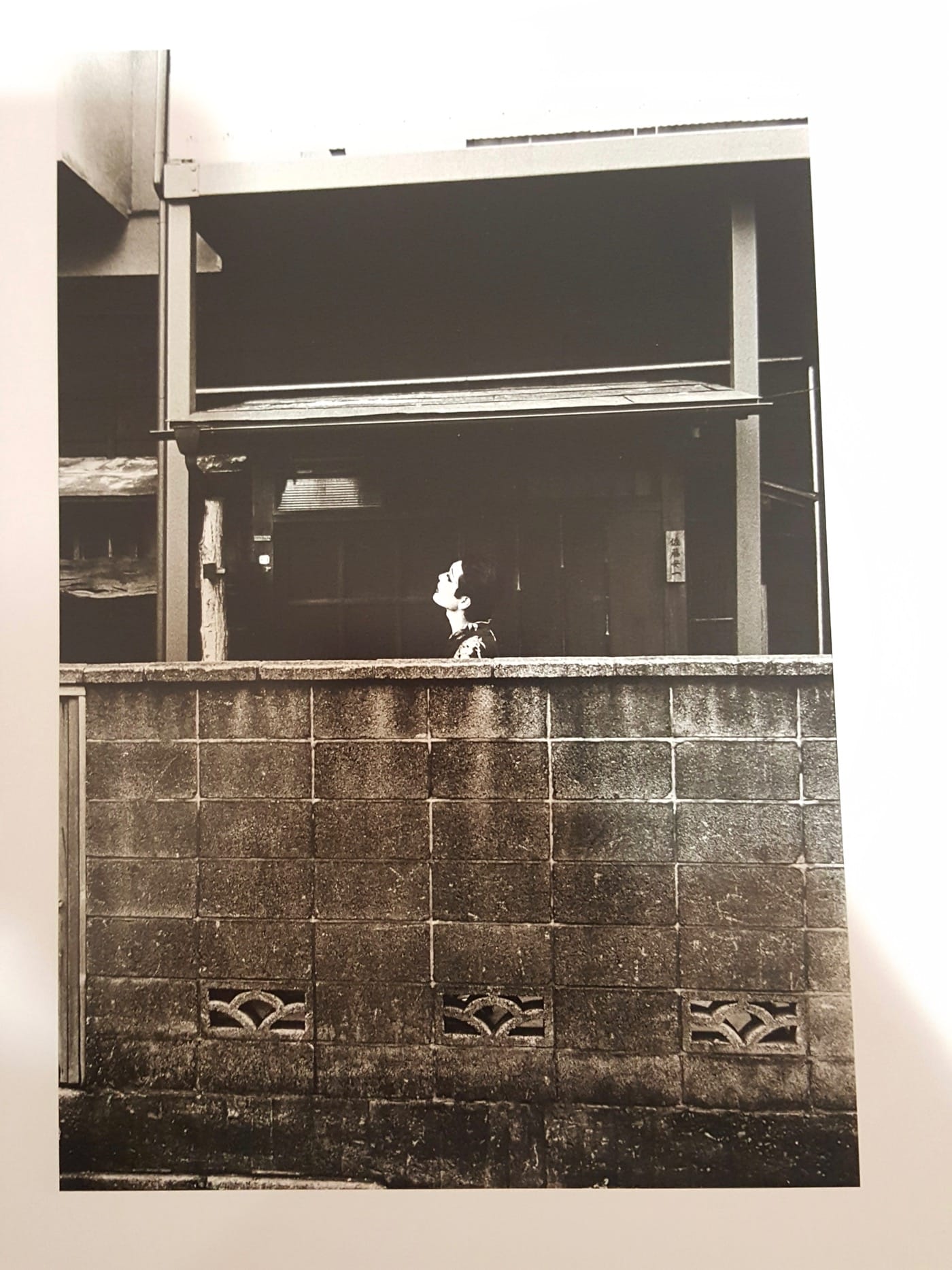 Simmon: A Private Landscape by Eikoh Hosoe 