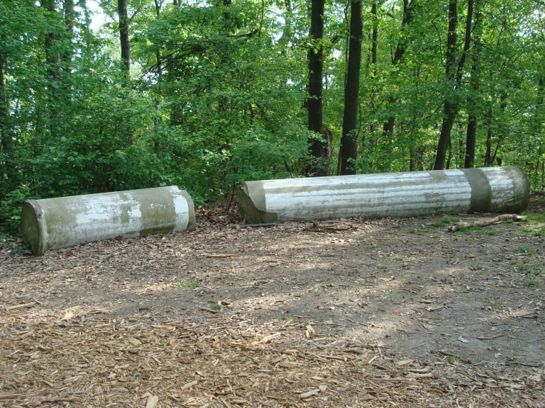 One of the two remaining capitals, lying broken in the Arboretum on Mt. Hamilton. (Image via Wikimedia Commons)