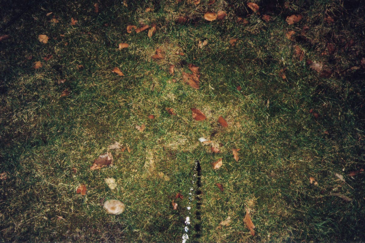 Photo by Ryan James MacFarland (courtesy the artist)