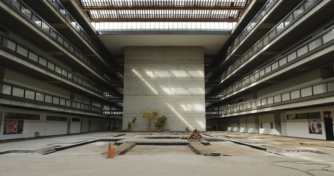 Echoes From the Black Box