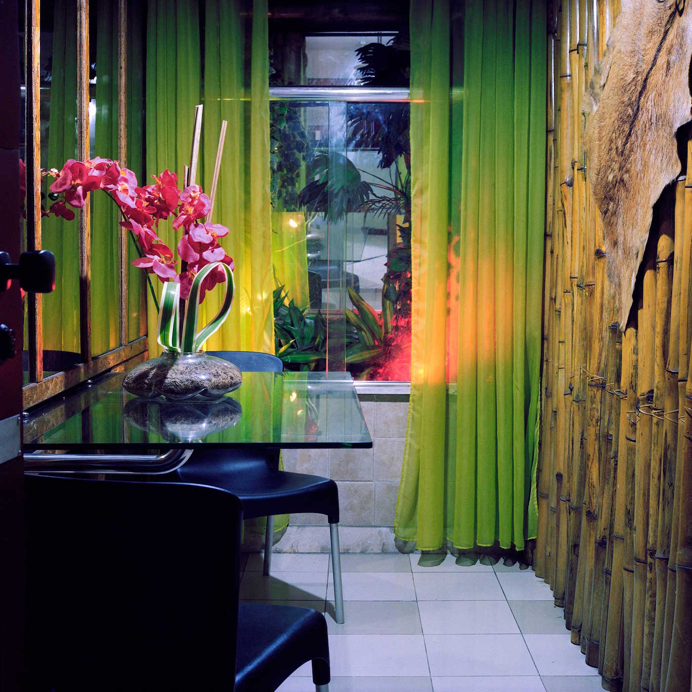 exotico-jur-oster-vera-van-de-sandt