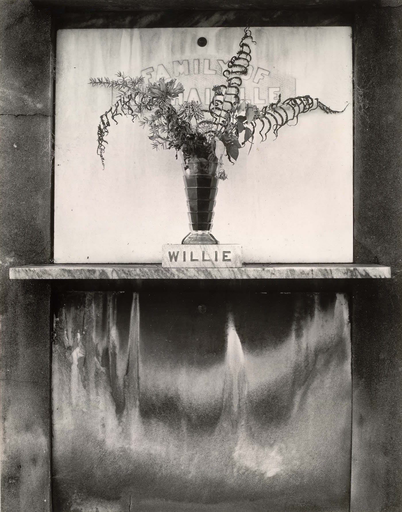 Real American Places: Edward Weston & Leaves of Grass