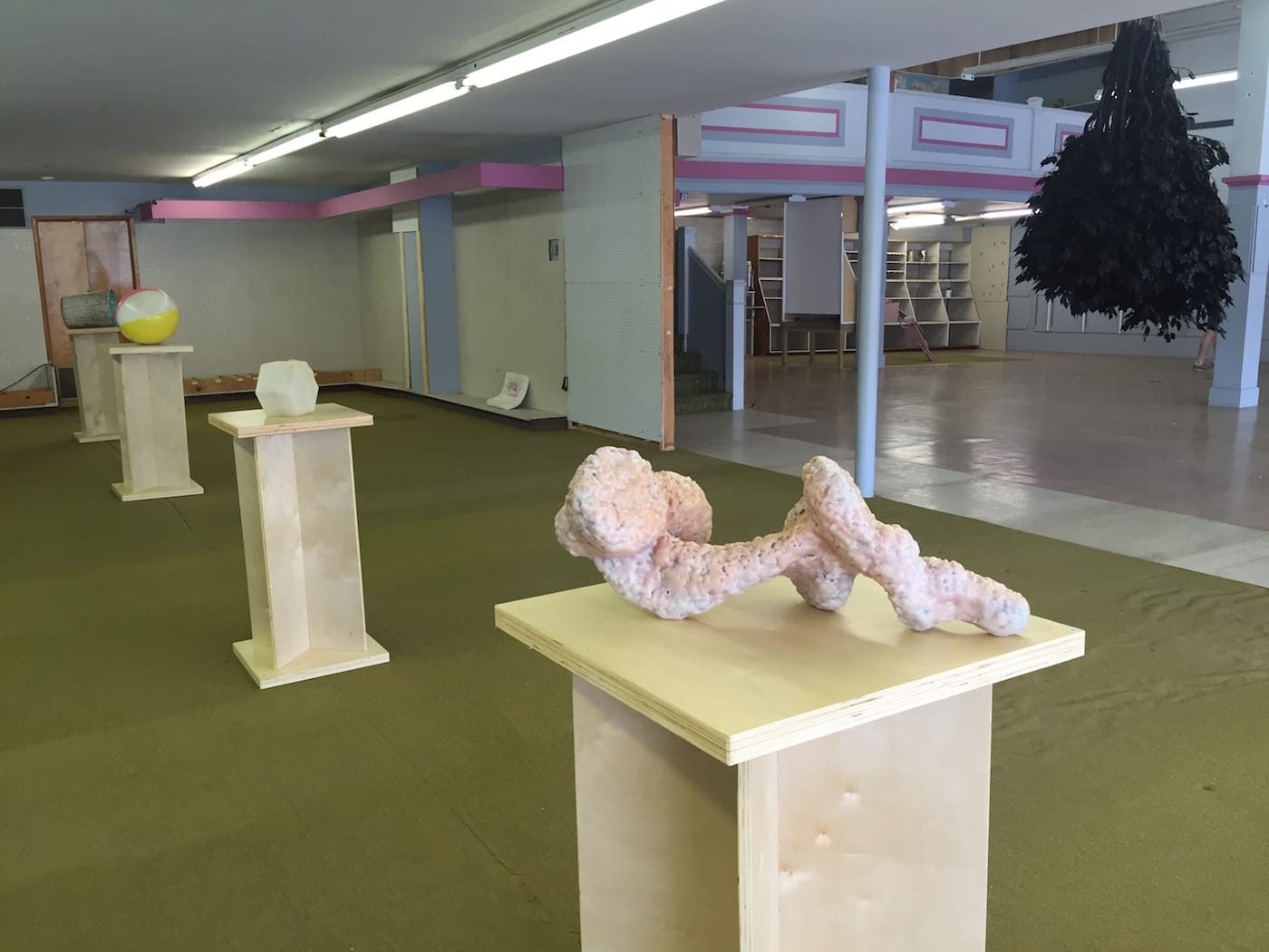 schwegler_installation2