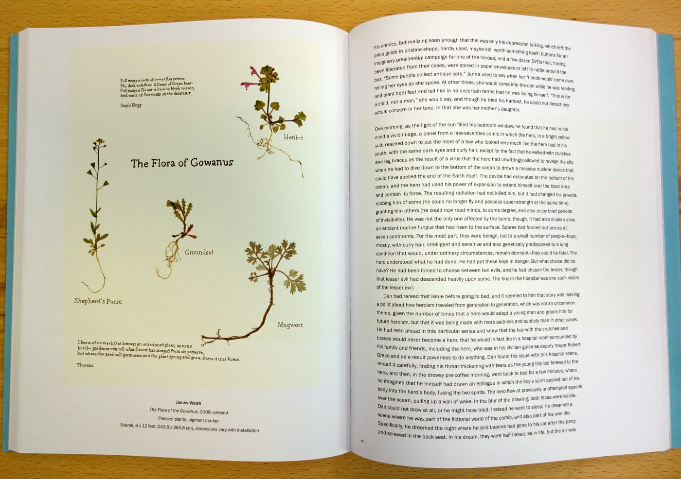 Pages from 'Silent Beaches' (photo of the book for Hyperallergic)