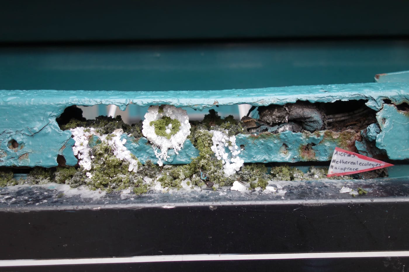 Art in Odd Places 2016