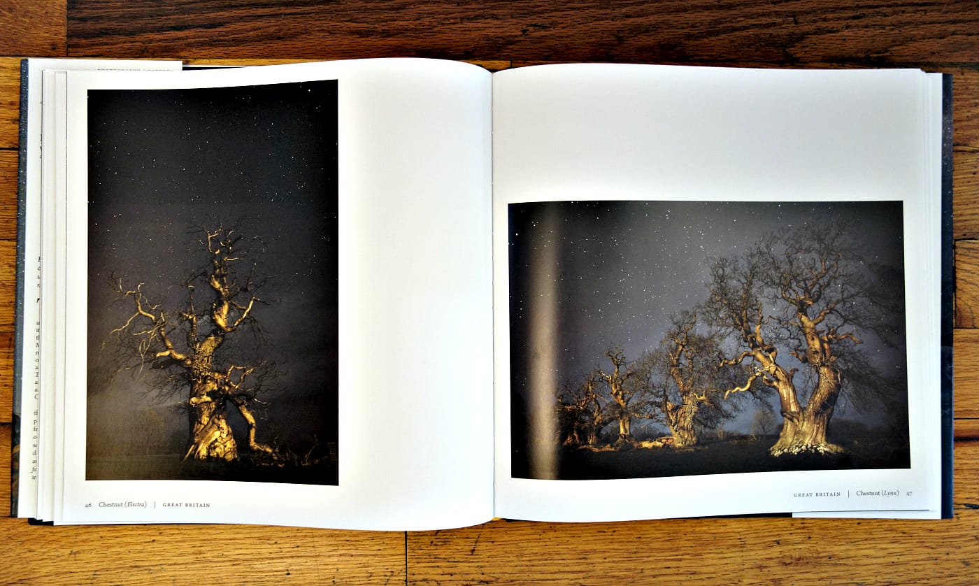 Pages from 'Ancient Skies, Ancient Trees' (photo of the book for Hyperallergic)