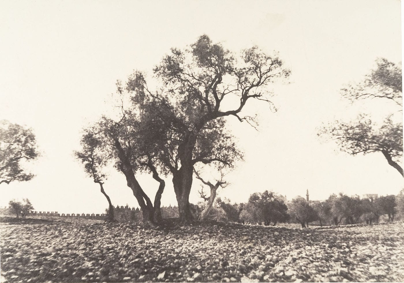 Faith and Photography: Auguste Salzmann in the Holy Land