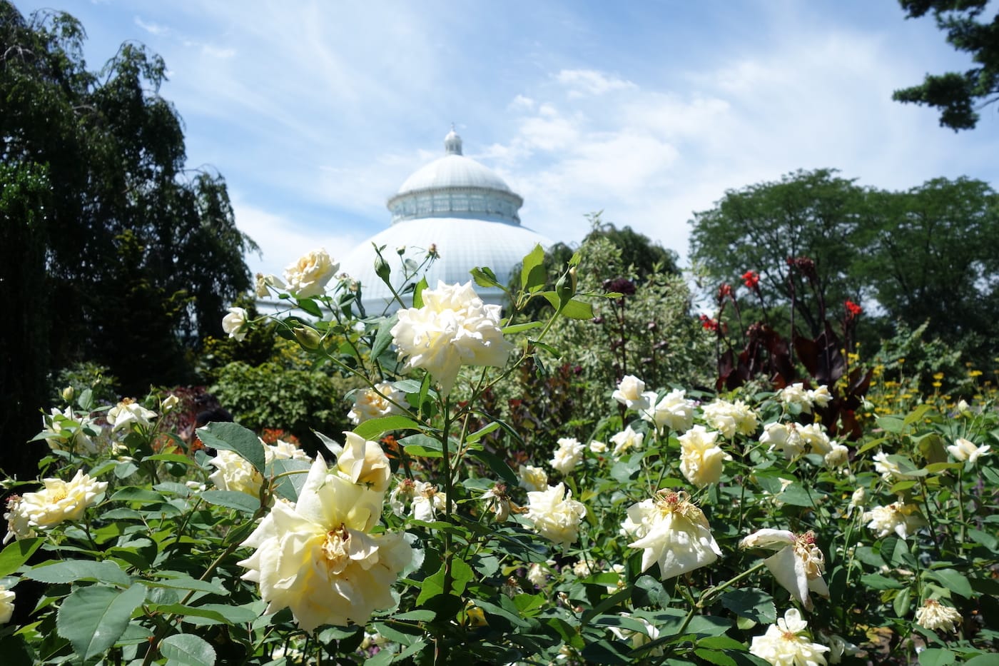 New York Botanical Garden in the Bronx, one of the sites on the What's Out There Cultural Landscapes Guide to New York City (photo by the author for Hyperallergic)